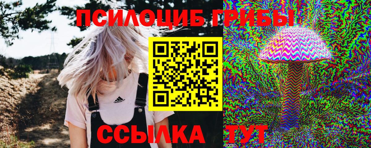 Гусиноозёрск  Псилоцибиновые грибы мицелий  Вход с VPN 