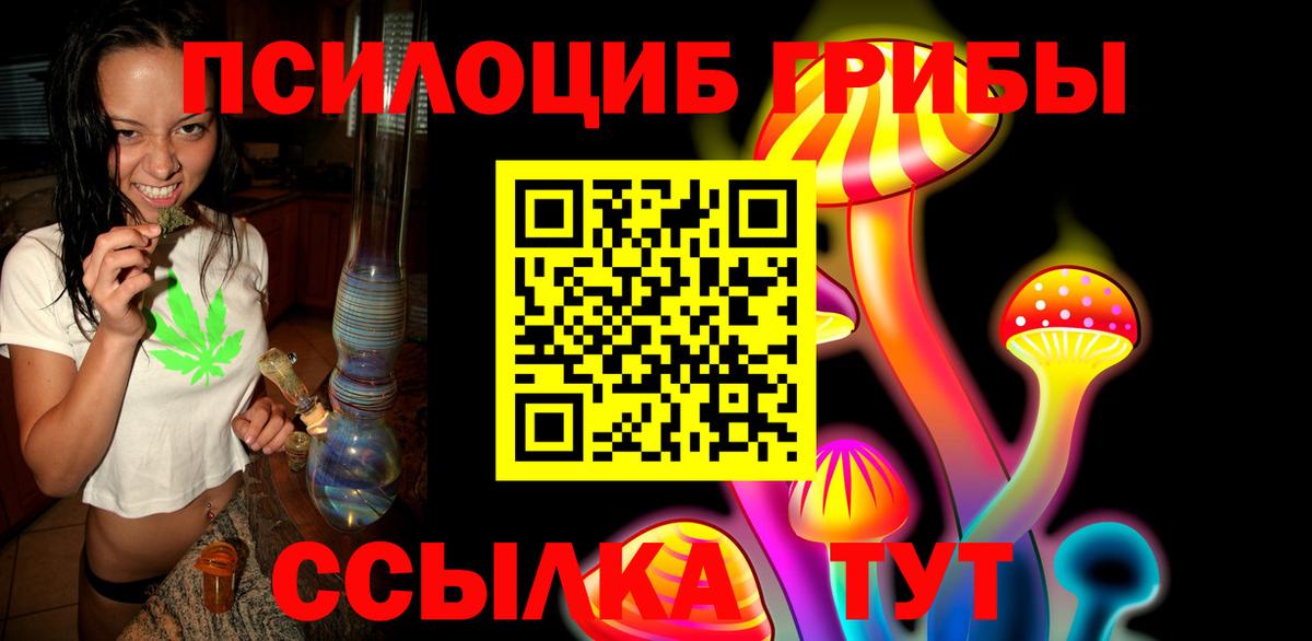 Псилоцибиновые грибы Psilocybine cubensis Гусиноозёрск