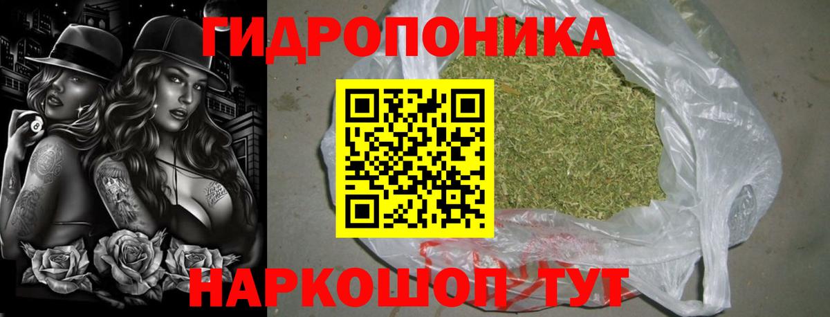 Гусиноозёрск  Шишки марихуана VHQ  Бошки Шишки гибрид  Вход с VPN  Шишки марихуана SATIVA & INDICA 